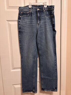 American Eagle Outfitters Light Blue Denim Jeans - Short